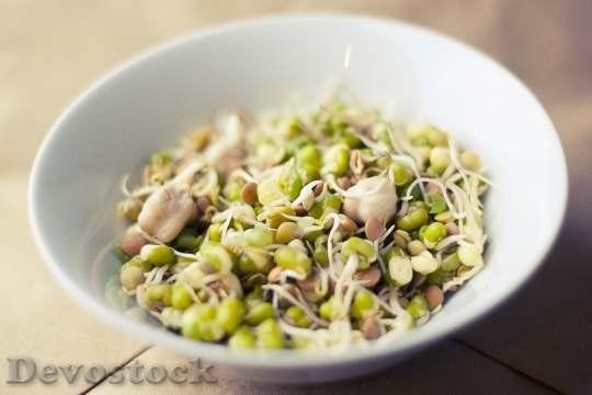 Devostock Soybean Sprouts Soya Food