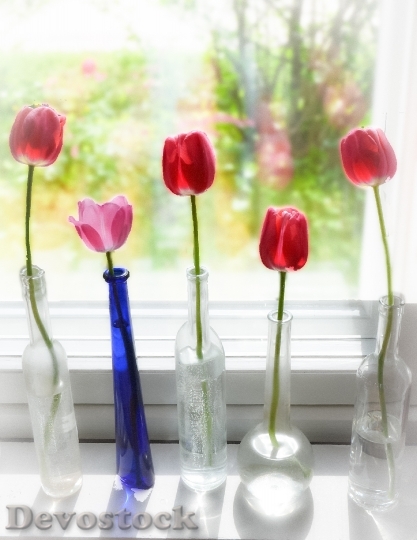Devostock Spring Tulip Bottle Flower