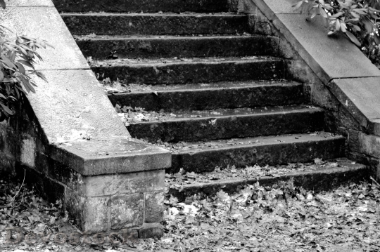 Devostock Stairs Stone Stairway Gradually