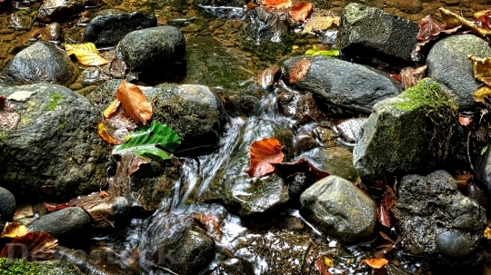 Devostock Stones Bach Water Nature