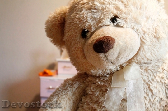 Devostock Teddy Bear Toy 358