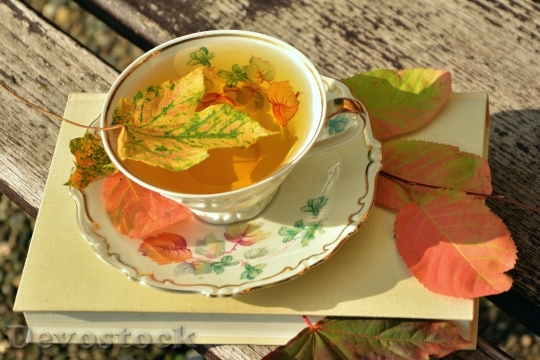 Devostock Tee Teacup Autumn Autumn 0