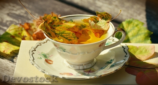 Devostock Tee Teacup Autumn Autumn 2