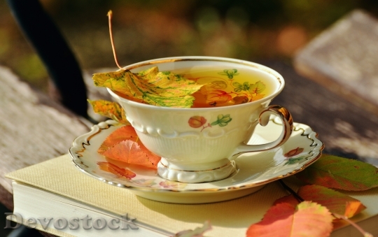 Devostock Tee Teacup Autumn Autumn 3