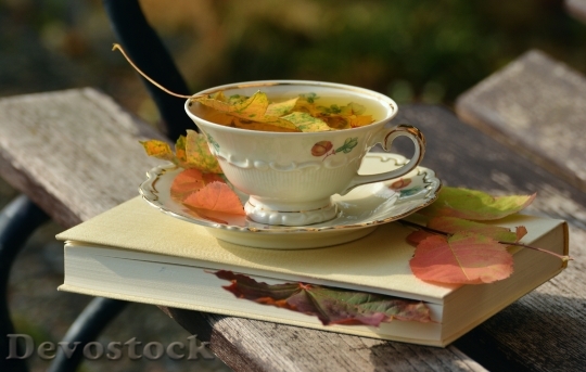 Devostock Tee Teacup Autumn Autumn