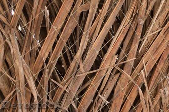 Devostock Texture Leaves Wiring Wire