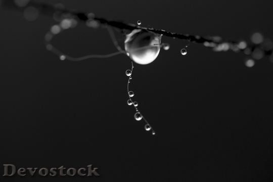 Devostock The Dew Drop Water