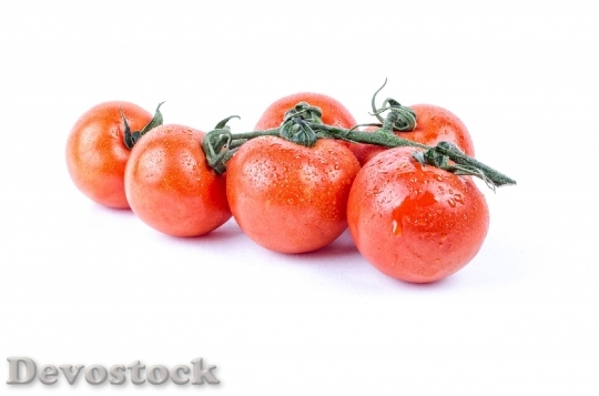 Devostock Tomato Fresh White Wet