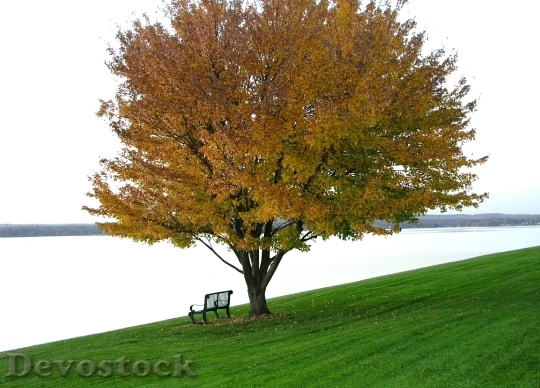 Devostock Tranquil Autumn Scene Water