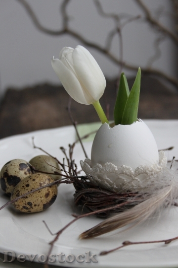 Devostock Tulip Egg Easter Decoration