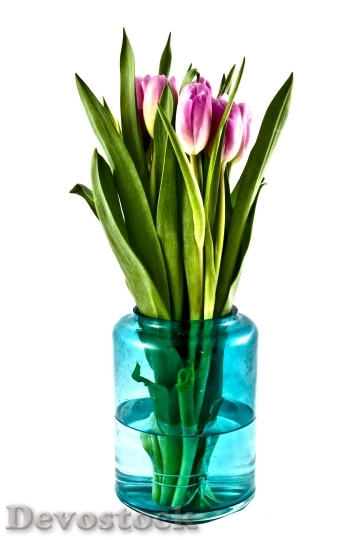Devostock Tulips Bouquet Flowers Vase