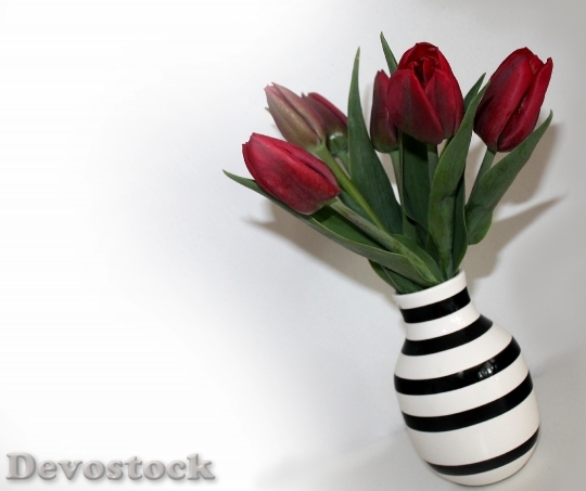 Devostock Tulips Bouquet Vase Flowers 0