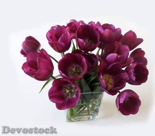 Devostock Tulips Bouquet Vase Flowers