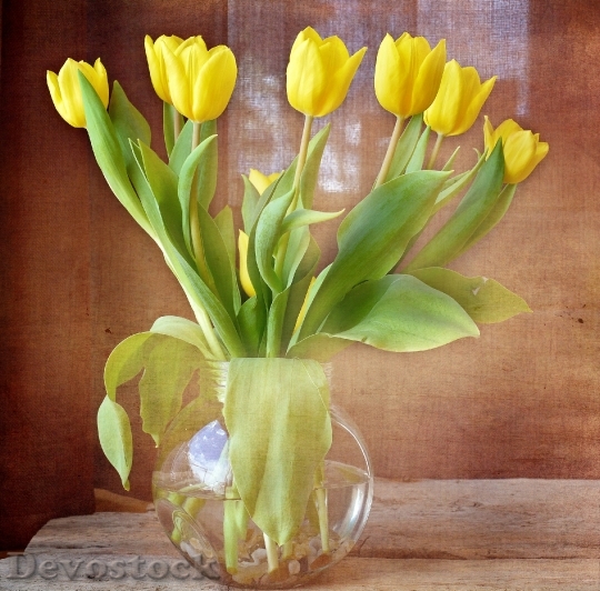 Devostock Tulips Bouquet Yellow Flowers