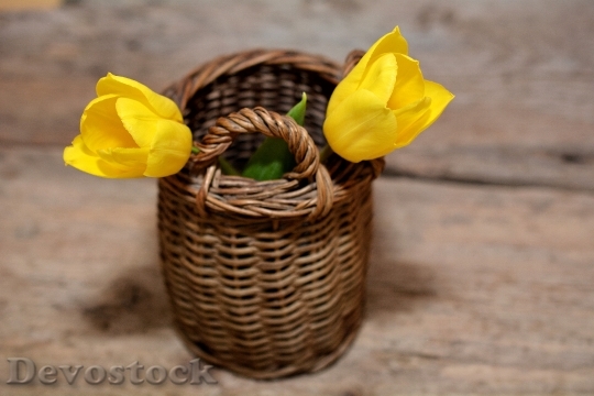 Devostock Tulips Yellow Basket Wood