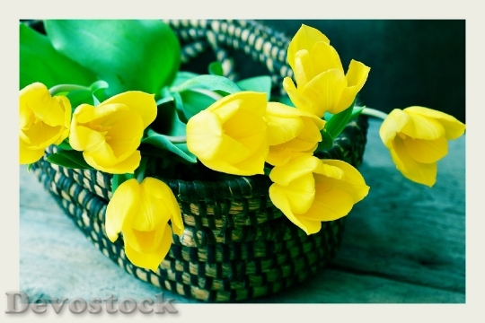 Devostock Tulips Yellow Flower Basket