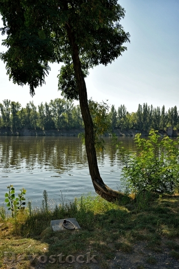 Devostock Vltava Tree Peace Rest