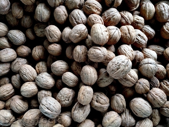 Devostock Walnuts Nuts Food Healthy 0