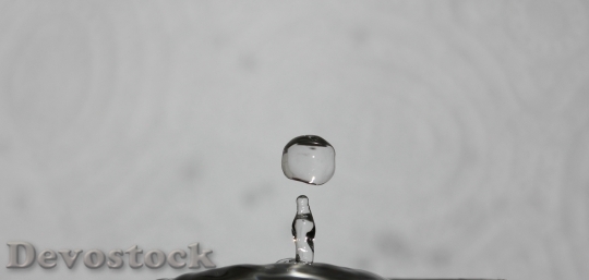 Devostock Water Drop Spetters 1312446