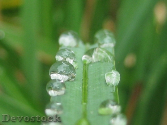 Devostock Water Droplets Rain Drops