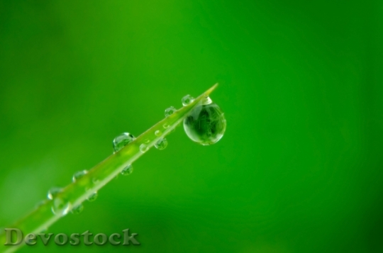 Devostock Water Drops