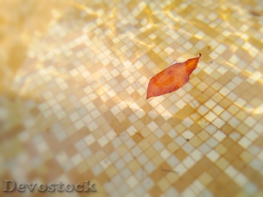 Devostock Water Leaf Mosaic Light