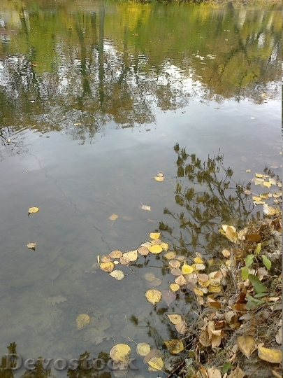 Devostock Water Pond Autumn Reflection
