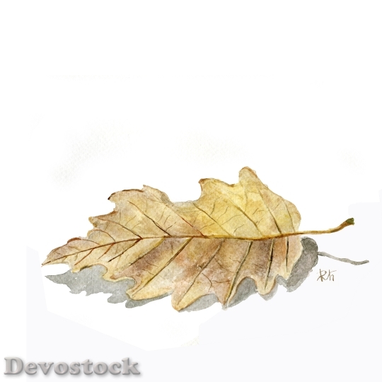 Devostock Watercolor Leaf Autumn Nature 0