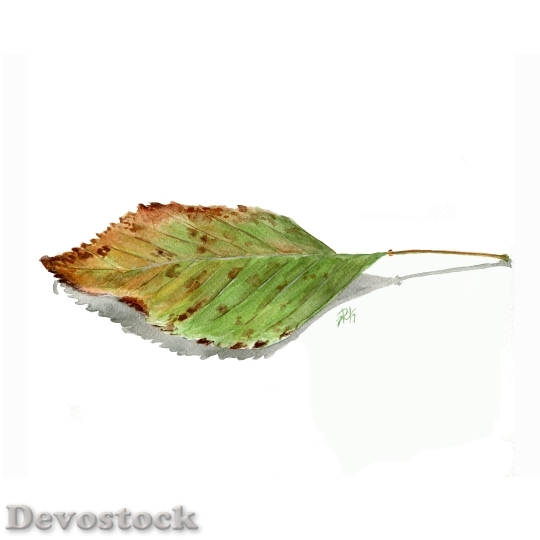 Devostock Watercolor Leaf Autumn Nature