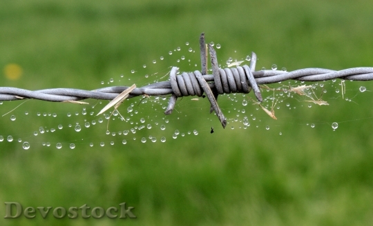 Devostock Wire Barbed Wire Fence 2