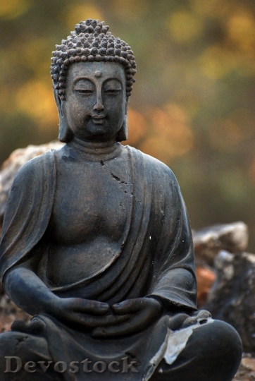 Devostock Zen Buddha Reflection Brightness 4